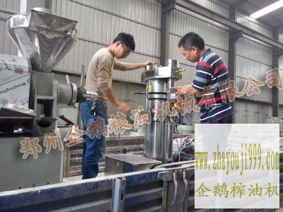 鄭州企鵝液壓榨油機(jī)發(fā)貨現(xiàn)場(chǎng)