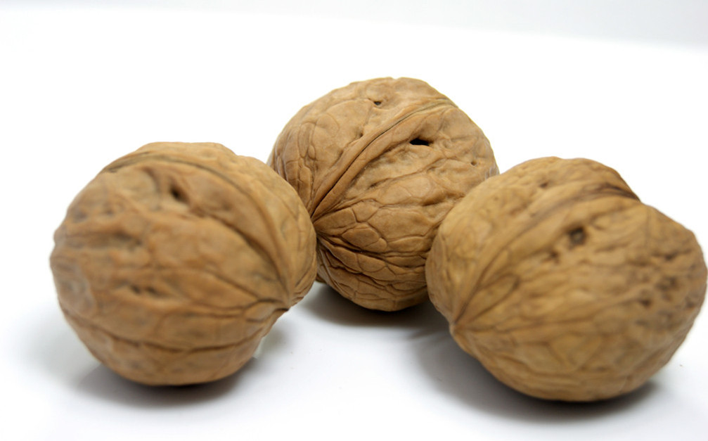 企鵝核桃榨油機(jī)——加速中國制造向中國創(chuàng)造的轉(zhuǎn)變