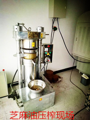 企鵝榨油機廠家淺談芝麻油壓榨工藝(圖1) 企鵝榨油機廠家淺談芝麻油壓榨工藝(圖1)