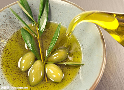 企鵝榨油機(jī)廠家說(shuō)橄欖油的營(yíng)養(yǎng)價(jià)值(圖2)