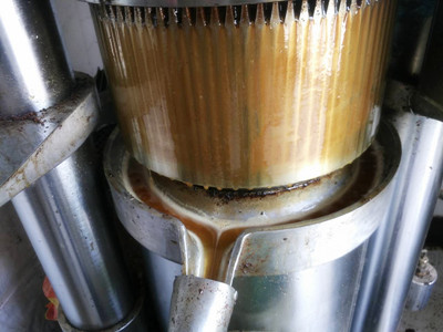 一般壓榨的大豆油保質(zhì)期是多長時間(圖1) 一般壓榨的大豆油保質(zhì)期是多長時間(圖1)