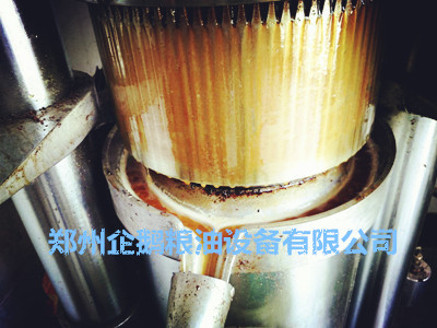 你的螺旋榨油機是不是狀況百出呢(圖2) 你的螺旋榨油機是不是狀況百出呢(圖2)