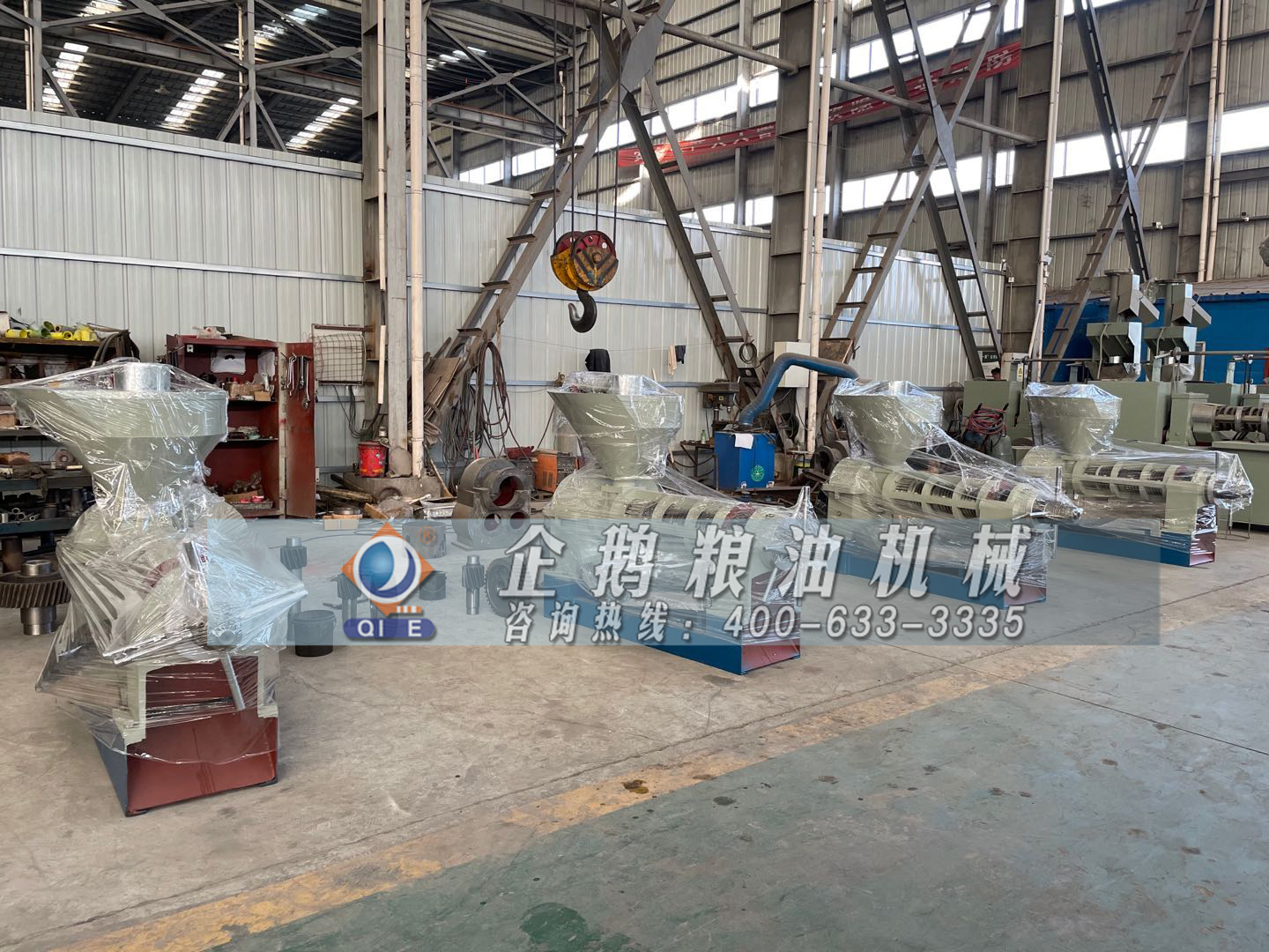 亞麻籽榨油機(jī)